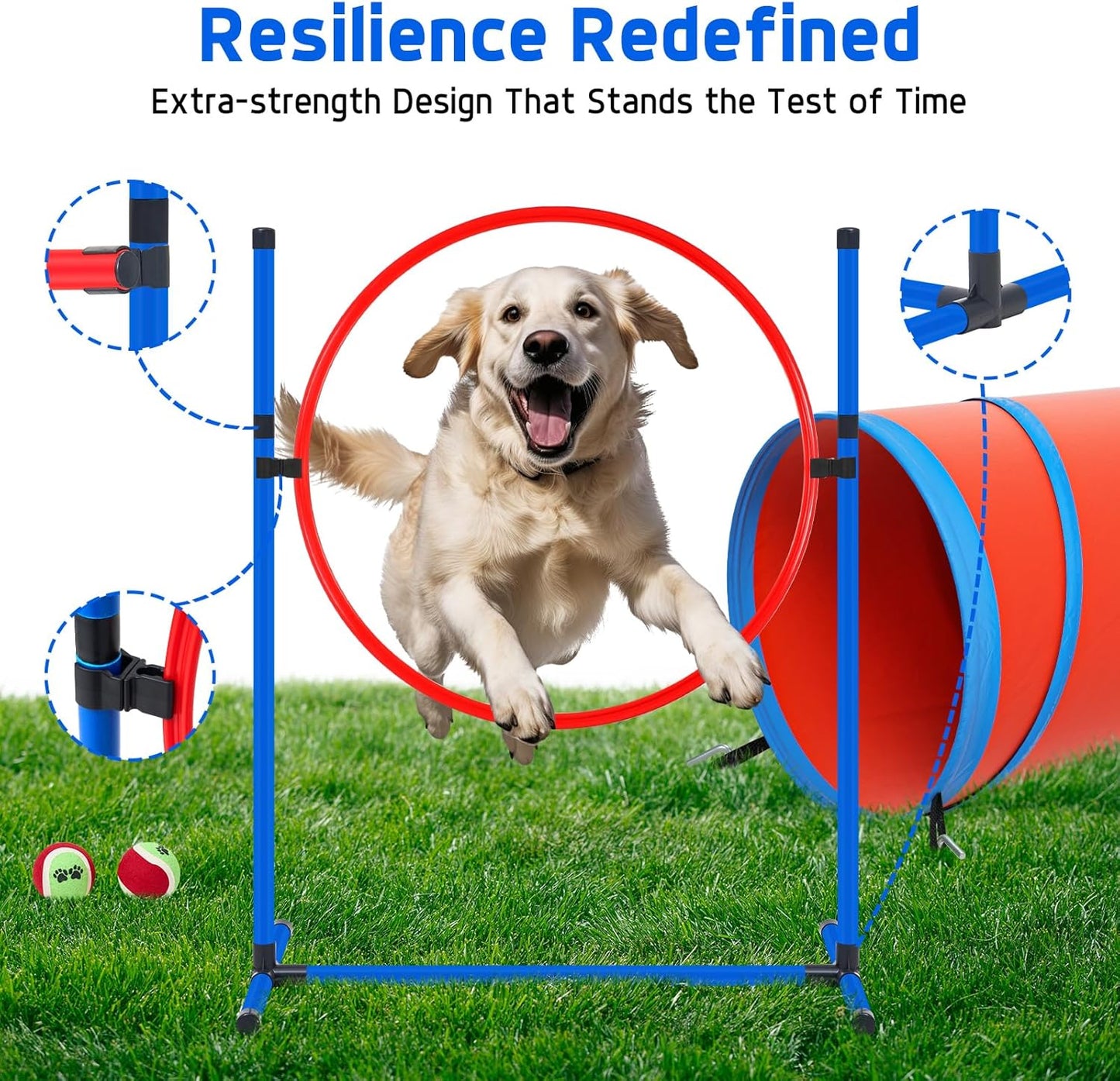 RBA1 PP0108 Dog Training Set