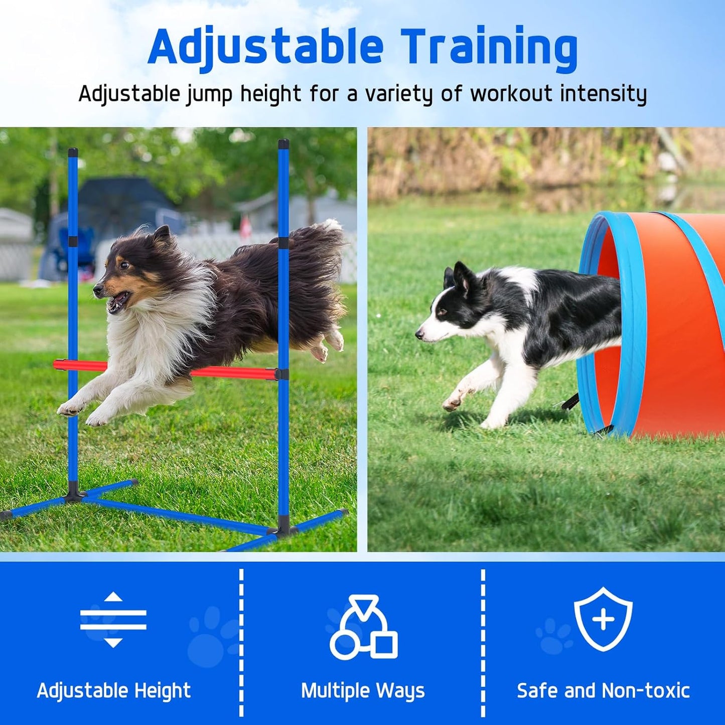 RBA1 PP0108 Dog Training Set
