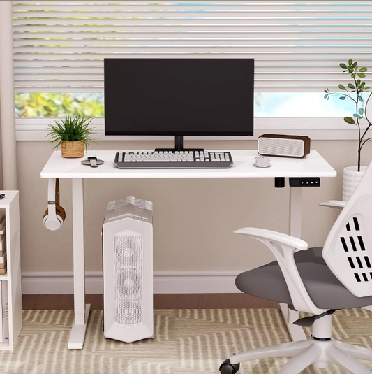Electric Standing Desk,48"x24"H Adjustable Table,Sit Stand Table for Home Office