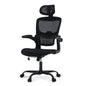 Office Chair, High Back Ergonomic Desk Chair, Mesh Desk Chair with Lumbar Support, headrest and Flip-up Armrests, 400lb, Black