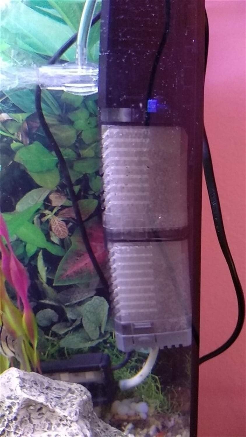 productimage