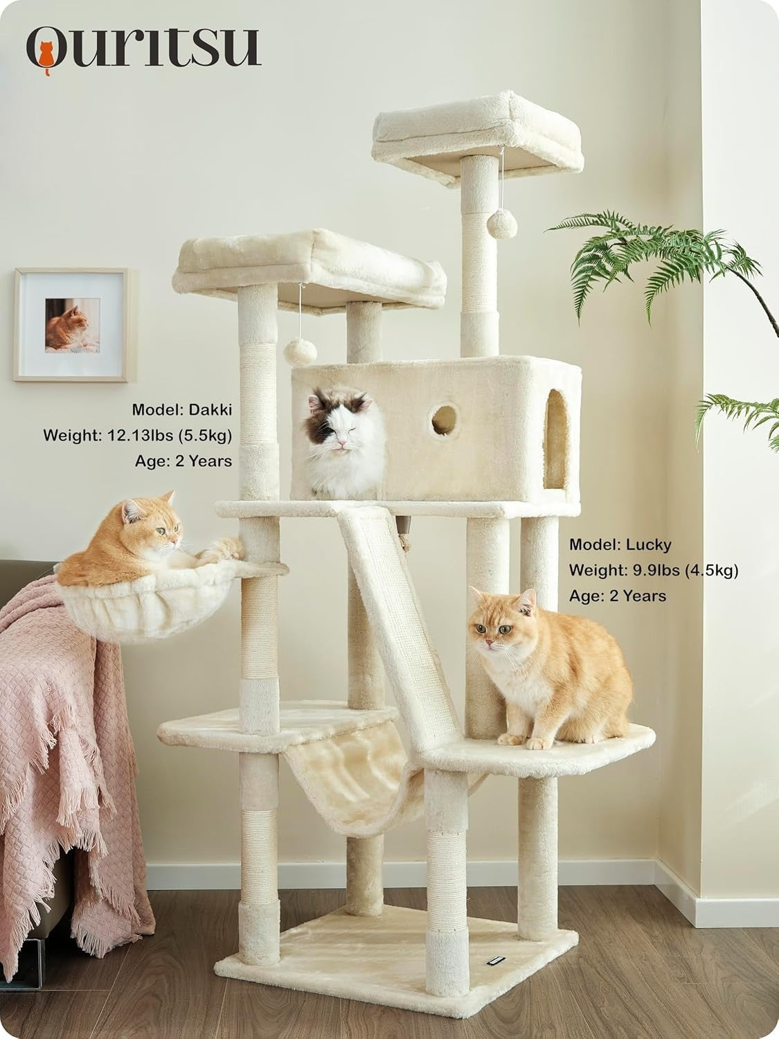 https://i.ebayimg.com/00/s/MTUwMFgxMTI1/z/-3wAAeSwBO5qOanQ/$_57.JPG