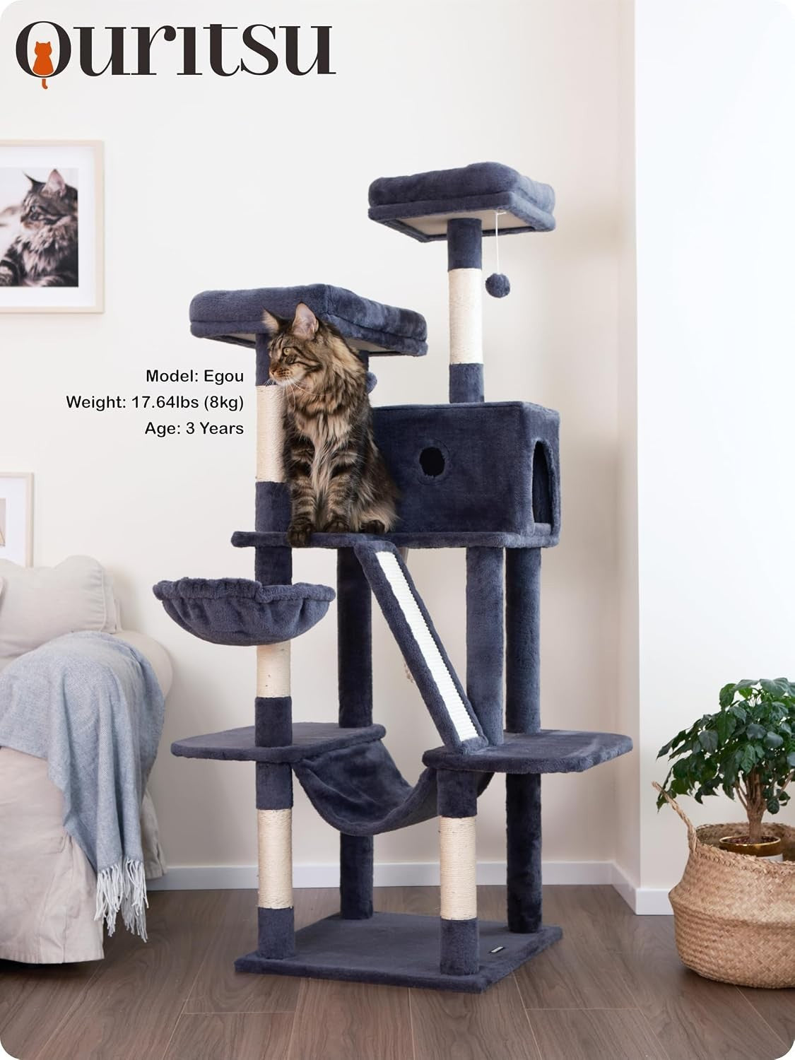 https://i.ebayimg.com/00/s/MTUwMFgxMTI1/z/uK0AAeSwzqVqOanf/$_57.JPG