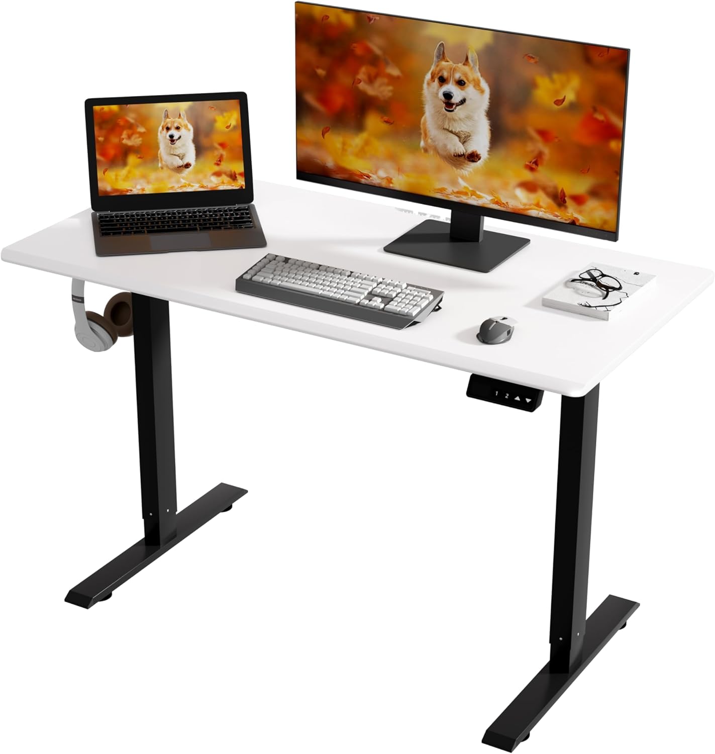 Electric Standing Desk,48"x24"H Adjustable Table,Sit Stand Table for Home Office