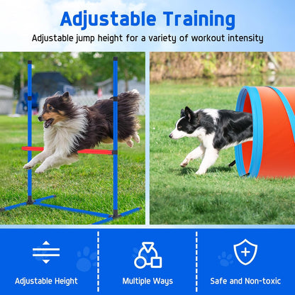 RBA1 PP0108 Dog Training Set