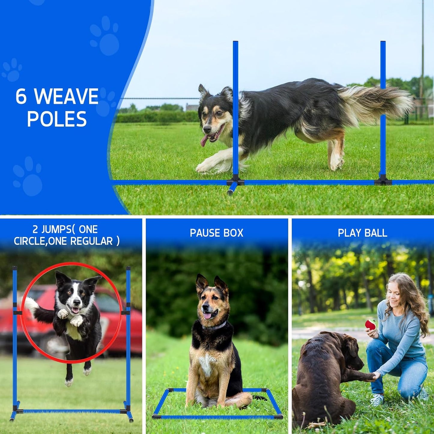 RBA1 PP0108 Dog Training Set