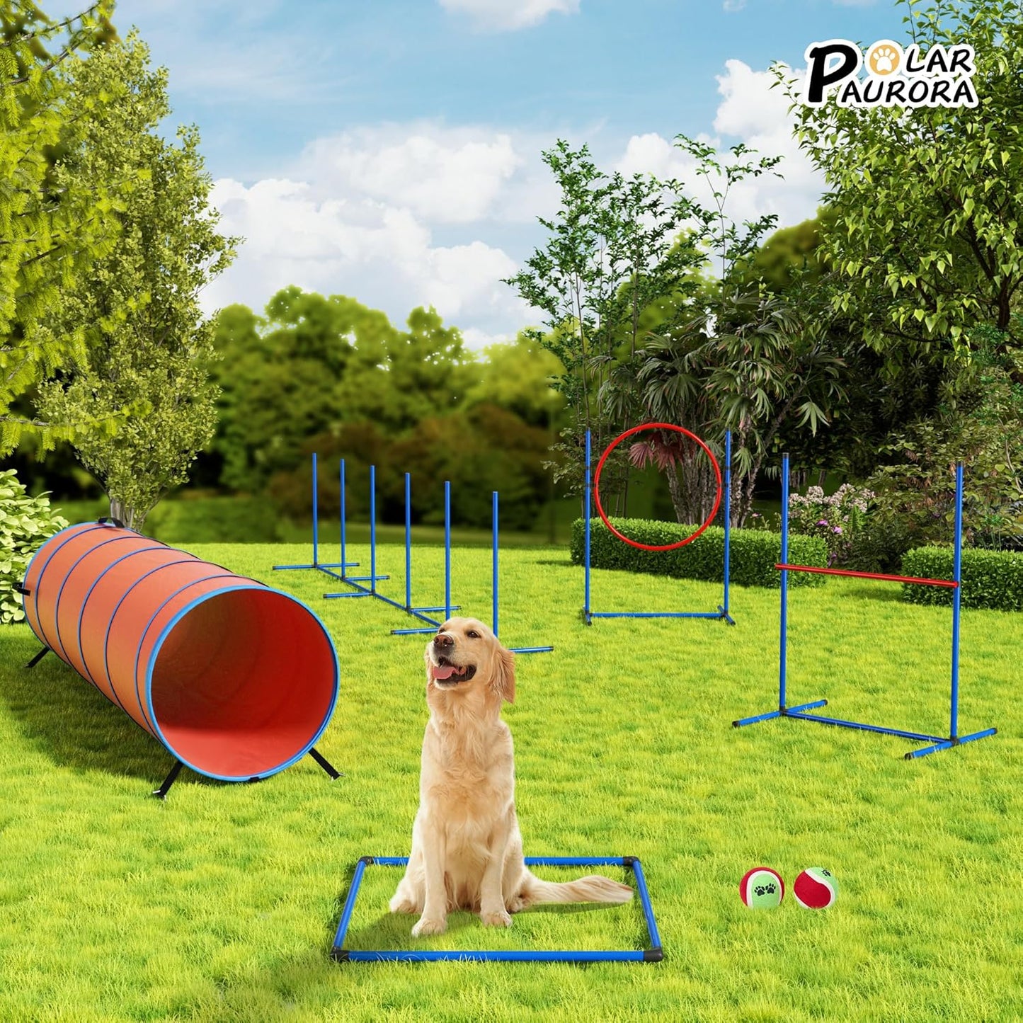 RBA1 PP0108 Dog Training Set