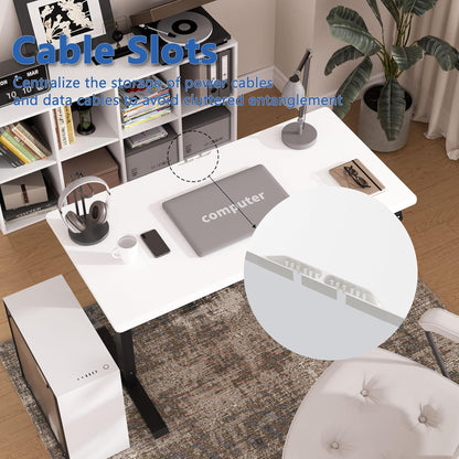 Electric Standing Desk,48"x24"H Adjustable Table,Sit Stand Table for Home Office