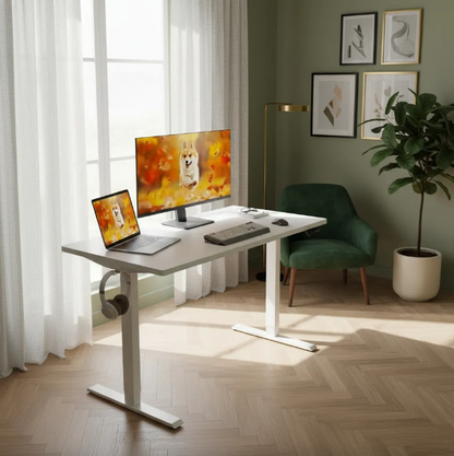 Electric Standing Desk,48"x24"H Adjustable Table,Sit Stand Table for Home Office