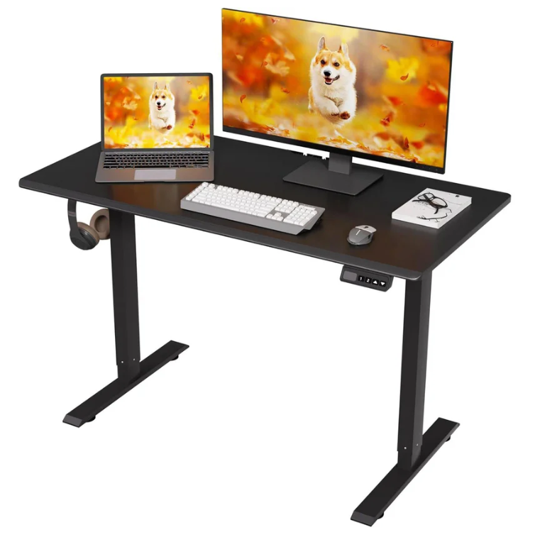 Electric Standing Desk,48"x24"H Adjustable Table,Sit Stand Table for Home Office