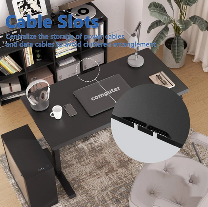 Electric Standing Desk,48"x24"H Adjustable Table,Sit Stand Table for Home Office