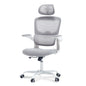 Ergonomic Office Chair with Tilt-Lock, Home Office Desk Chair with Auto Lumbar Support, High Back Mesh Desk Chair with Adjustable Headrest, Swivel Task Chair or Study Room Bedroom,Light Gray